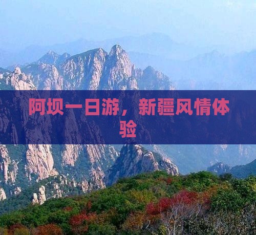 阿坝去新疆一日