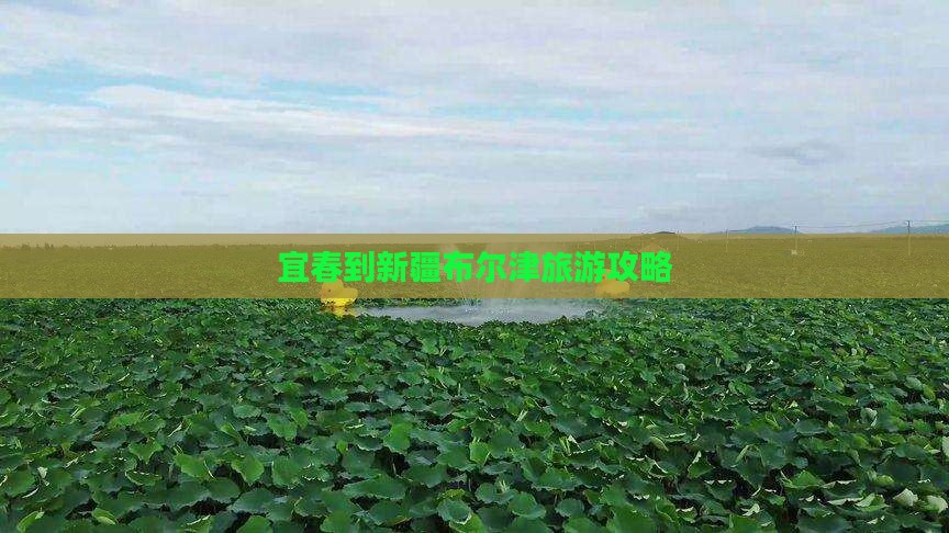 宜春到新疆布尔津旅游攻略