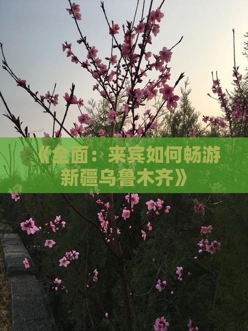 《全面：来宾如何畅游新疆乌鲁木齐》