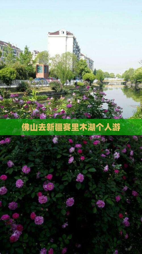 佛山去新疆赛里木湖个人游