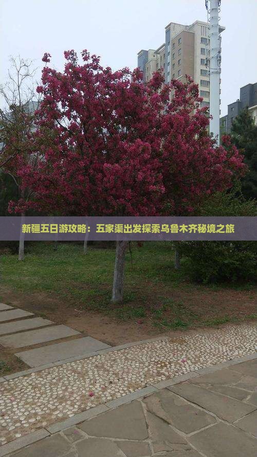 新疆五日游攻略：五家渠出发探索乌鲁木齐秘境之旅