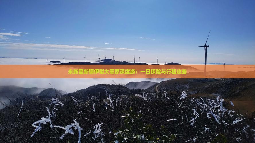 永新至新疆伊犁大草原深度游：一日探险与行程攻略