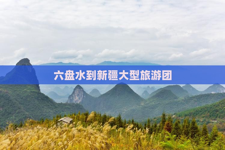 六盘水到新疆大型旅游团