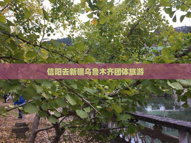 信阳去新疆乌鲁木齐团体旅游