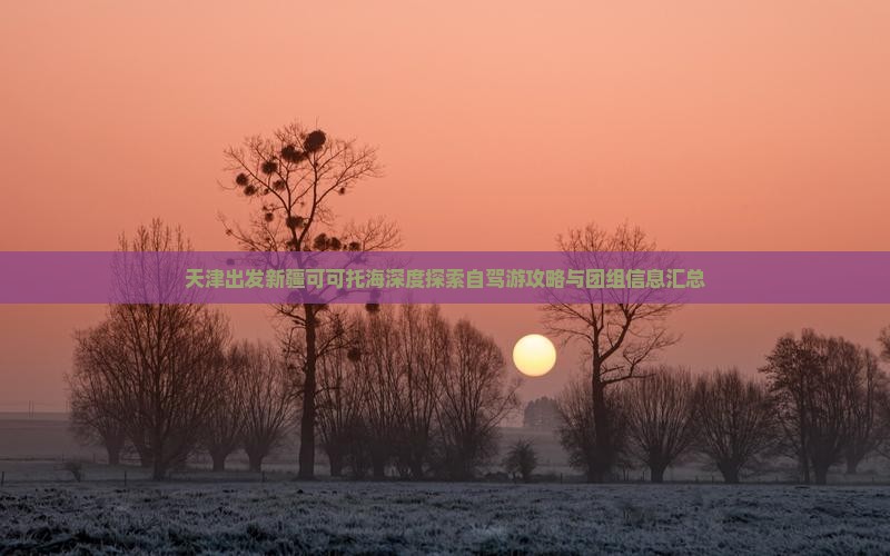 天津出发新疆可可托海深度探索自驾游攻略与团组信息汇总