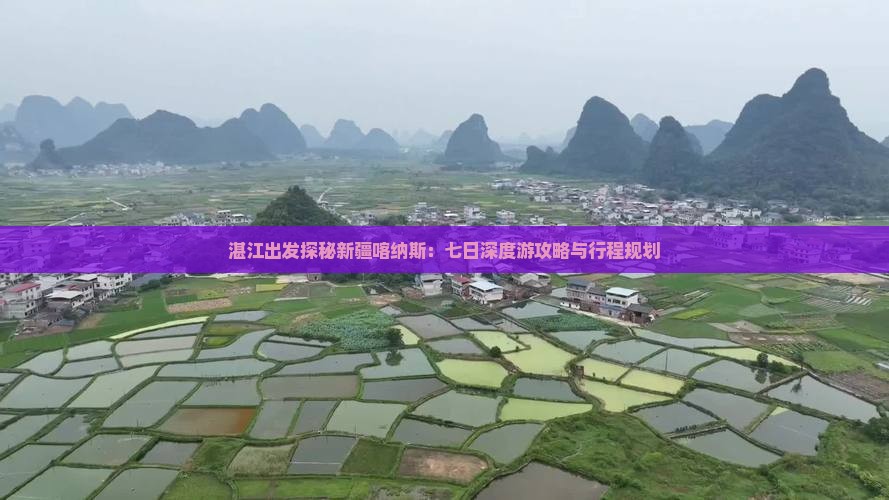 湛江出发探秘新疆喀纳斯：七日深度游攻略与行程规划