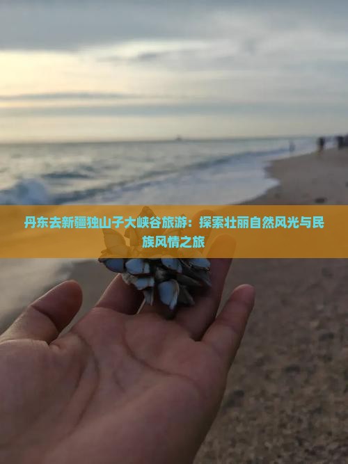 丹东去新疆独山子大峡谷旅游：探索壮丽自然风光与民族风情之旅