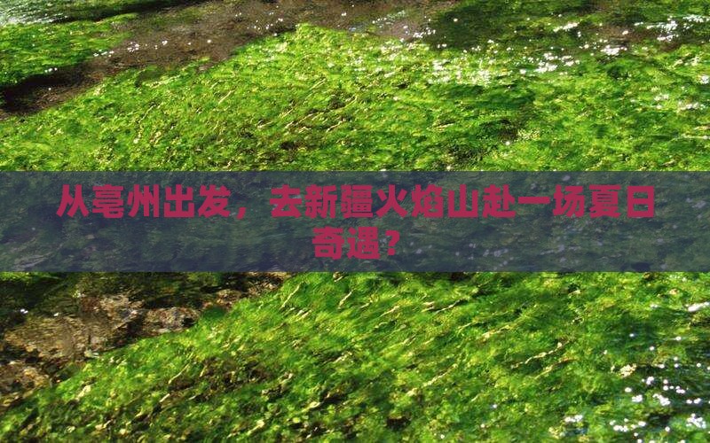 亳州到新疆火焰山二日游