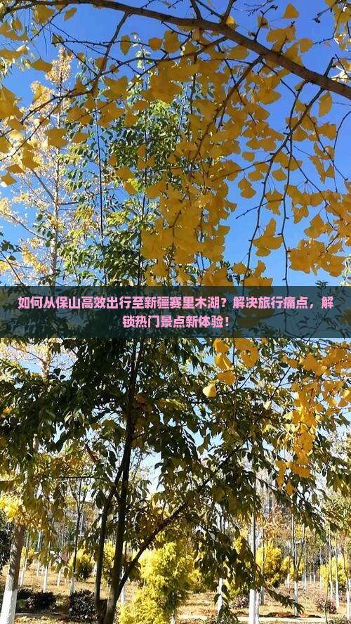 保山去新疆赛里木湖景点