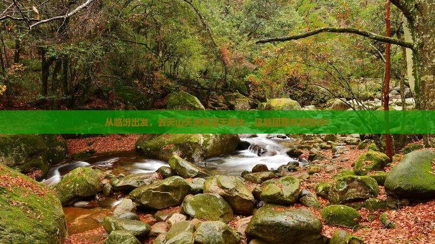 临汾去新疆天山天池团体旅游
