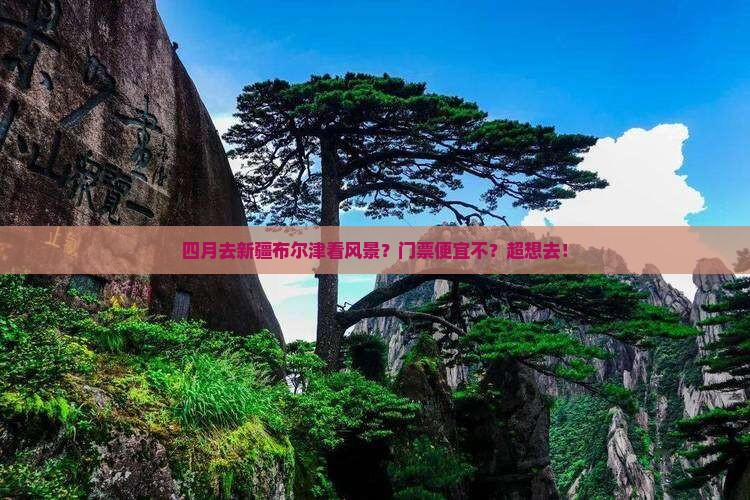 四月到新疆布尔津门票
