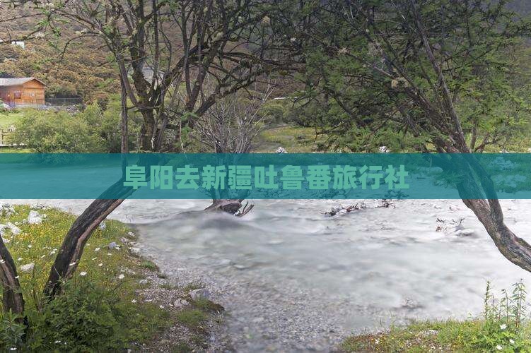 阜阳去新疆吐鲁番旅行社