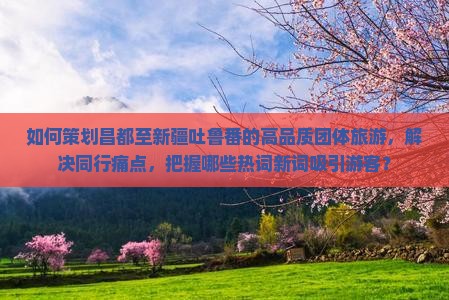 昌都去新疆吐鲁番团体旅游