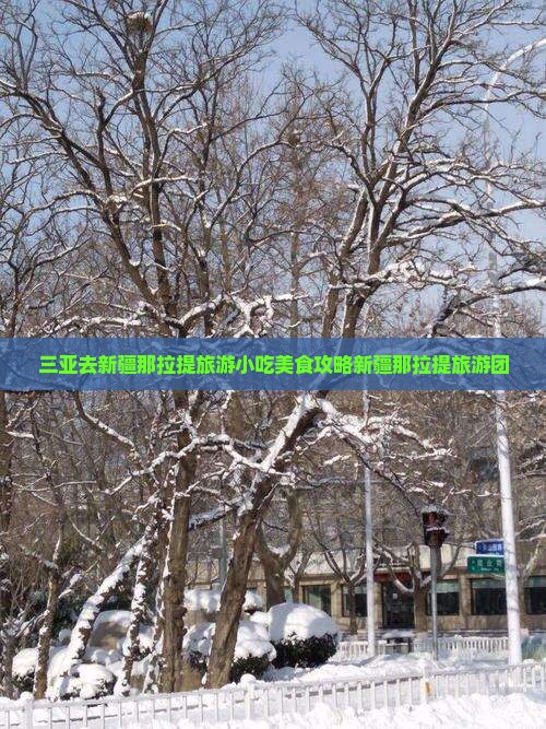 三亚去新疆那拉提旅游小吃
