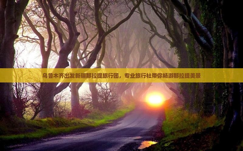 乌鲁木齐到新疆那拉提旅行社
