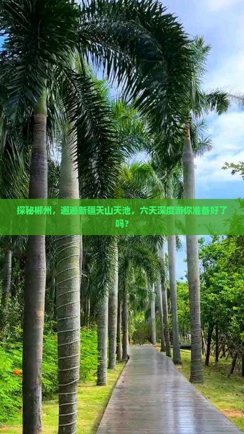 郴州去新疆天山天池六日游