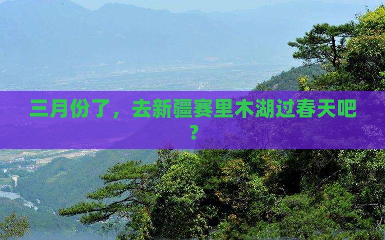 三月去新疆赛里木湖一日