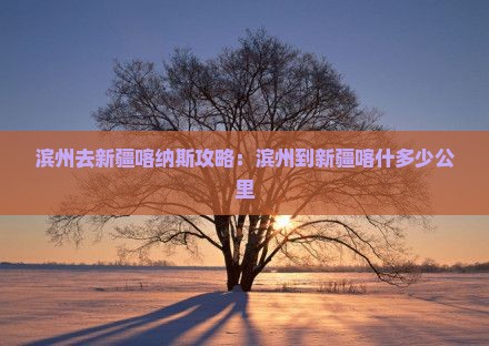 滨州去新疆喀纳斯攻略