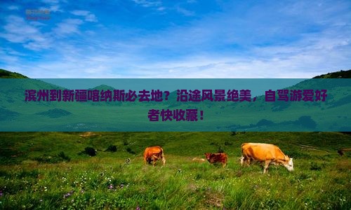 滨州到新疆喀纳斯必去地