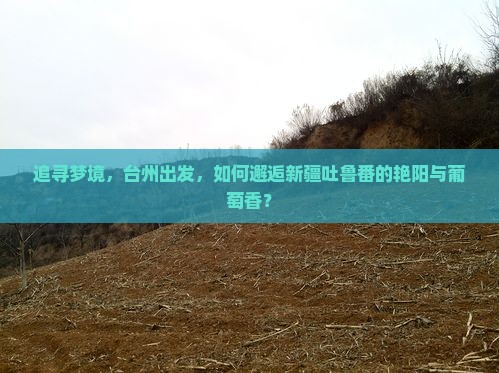 台州到新疆吐鲁番自由行