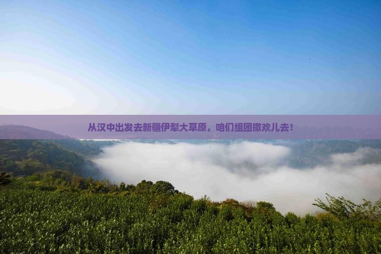 汉中到新疆伊犁大草原团体旅游