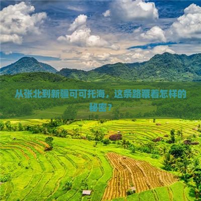 张北去新疆可可托海景点