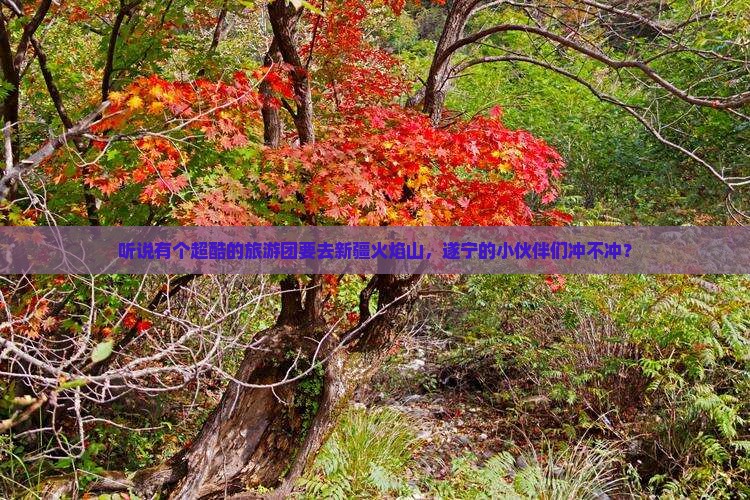 遂宁去新疆火焰山大型旅游团