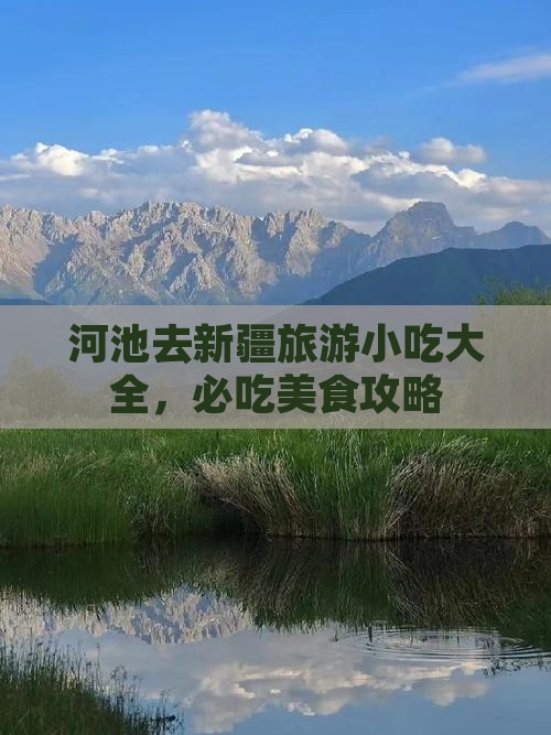 河池去新疆旅游小吃