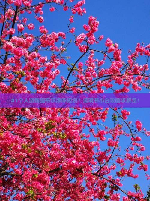 清明节去新疆布尔津个人游