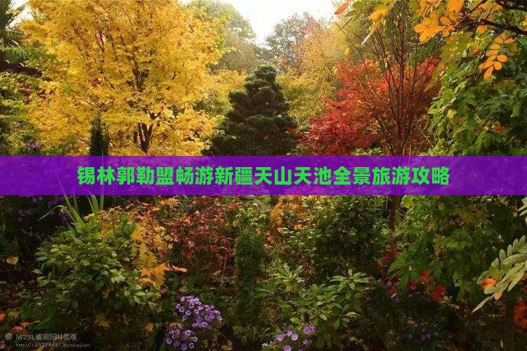 锡林郭勒盟去新疆天山天池攻略