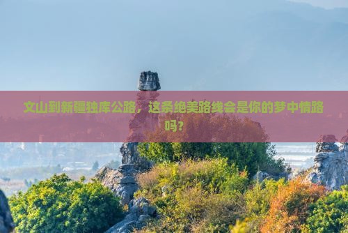 文山到新疆独库公路旅游