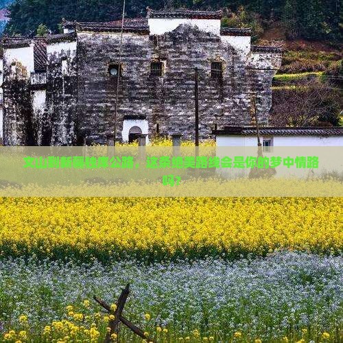 文山到新疆独库公路旅游