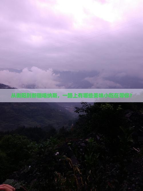 衡阳去新疆喀纳斯旅游小吃