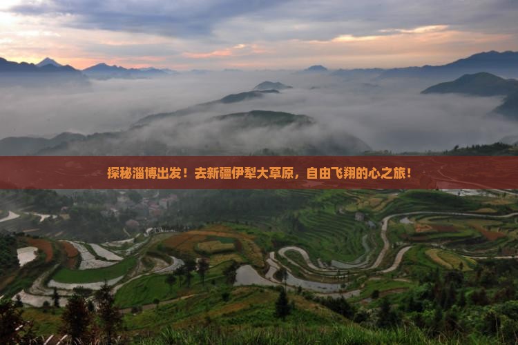 淄博到新疆伊犁大草原自由行