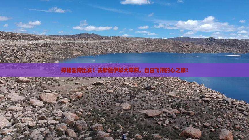 淄博到新疆伊犁大草原自由行