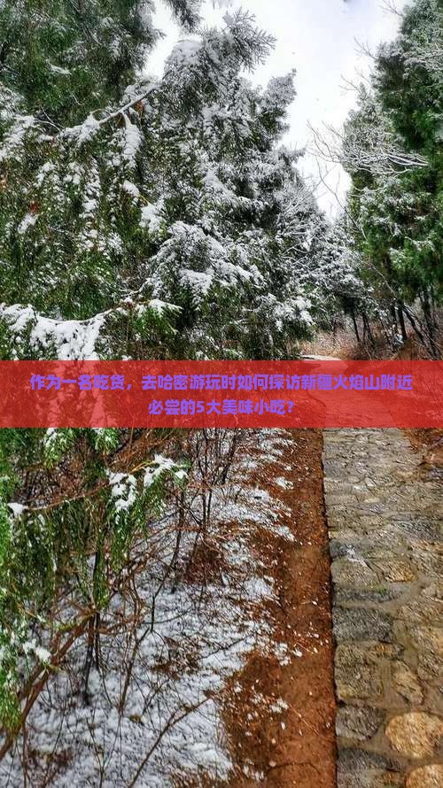 哈密去新疆火焰山旅游小吃