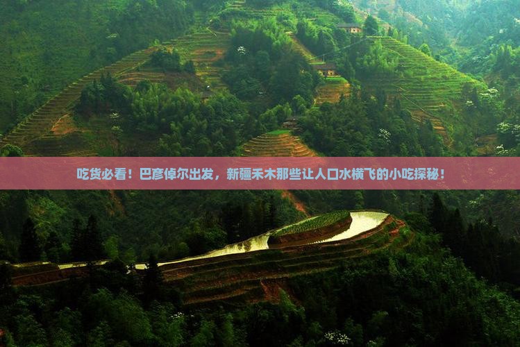 巴彦倬尔到新疆禾木旅游小吃