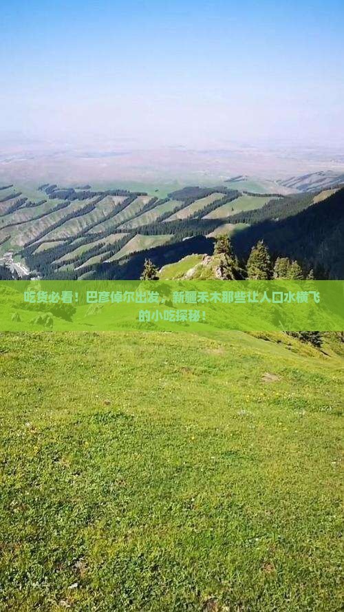 巴彦倬尔到新疆禾木旅游小吃