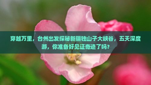 台州到新疆独山子大峡谷五日游