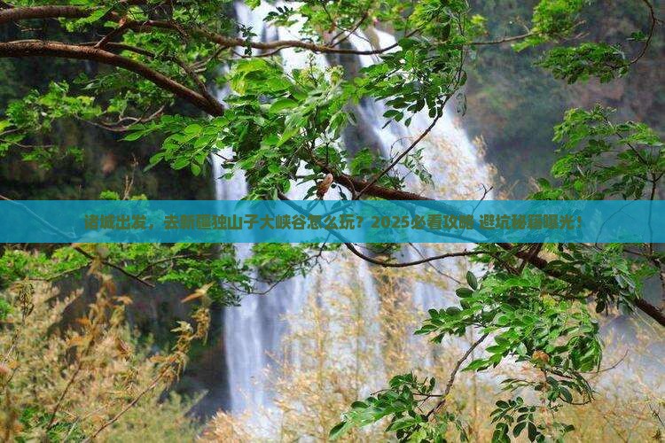 诸城到新疆独山子大峡谷团体旅游