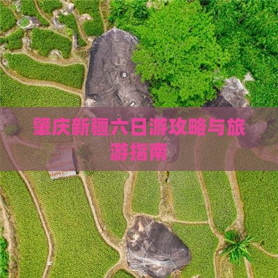肇庆去新疆乌鲁木齐六日游