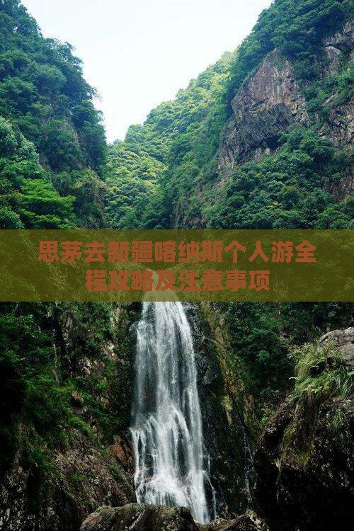 思茅去新疆喀纳斯个人游