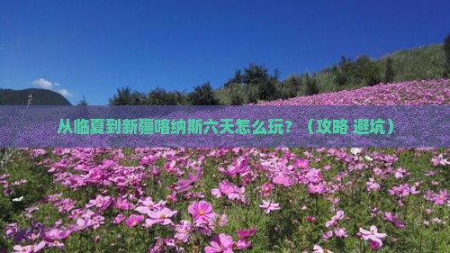 临夏到新疆喀纳斯六日游