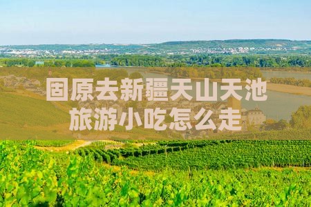 固原去新疆天山天池旅游小吃