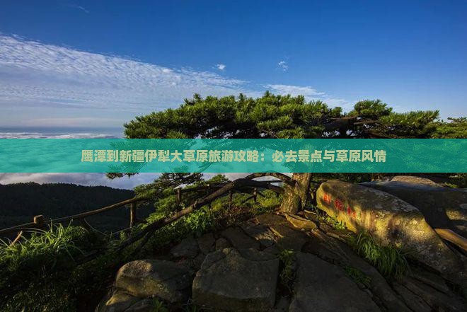鹰潭到新疆伊犁大草原必去地