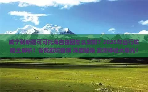 咸宁到新疆可可托海自由团