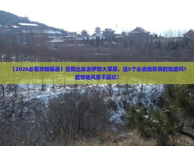 岳阳到新疆伊犁大草原必去地