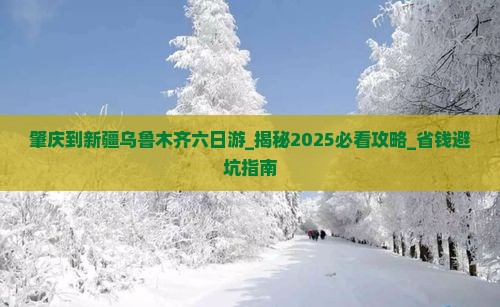 肇庆到新疆乌鲁木齐六日游