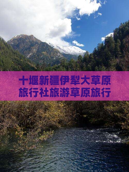 十堰去新疆伊犁大草原旅行社