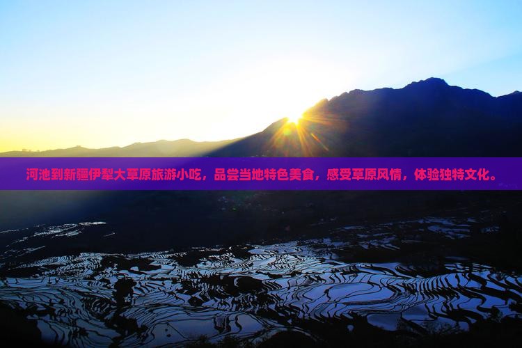 河池到新疆伊犁大草原旅游小吃